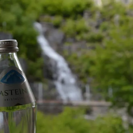 格兰斯堡公寓 公寓 巴德加斯坦